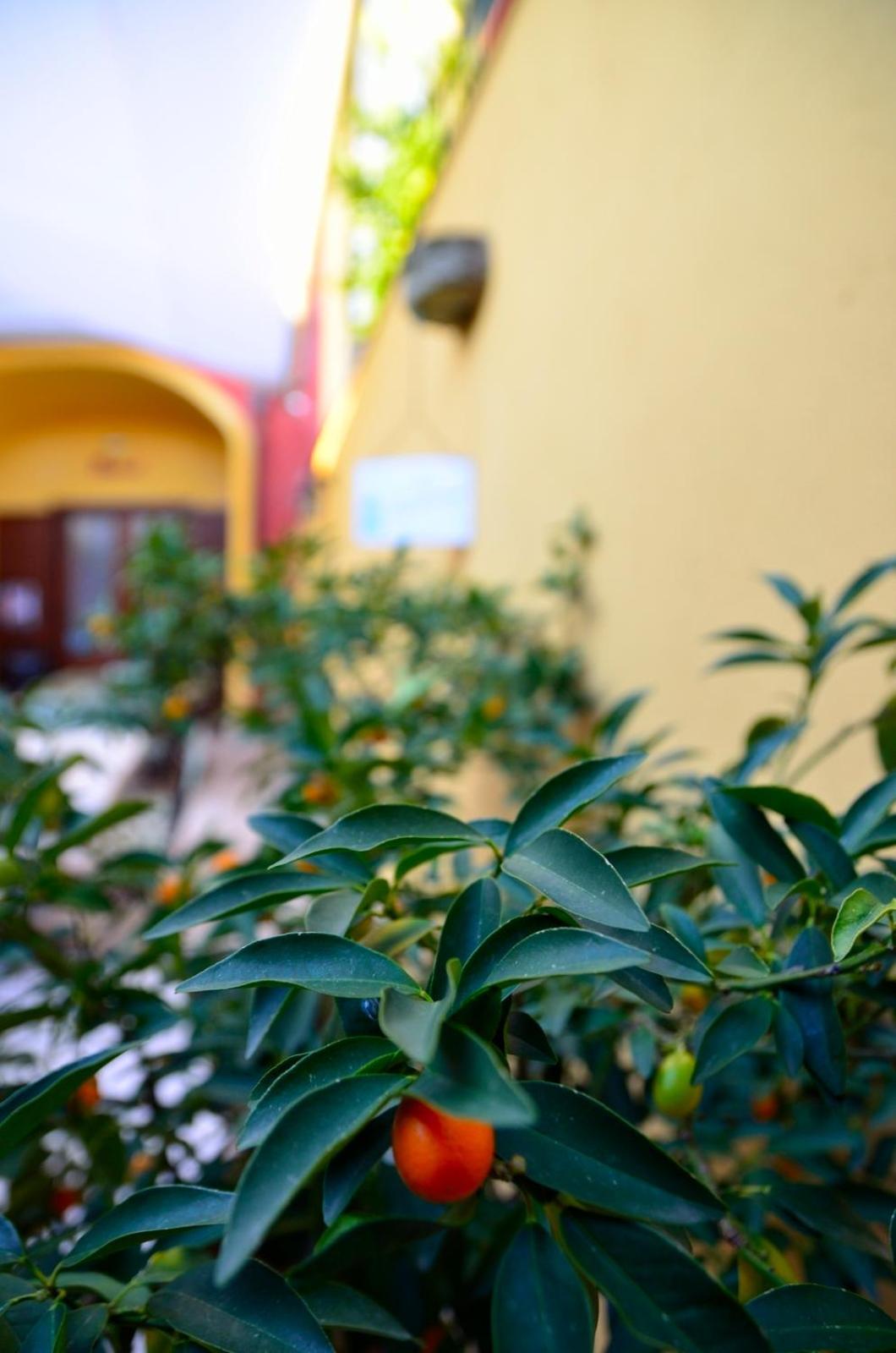 Manouche Osteria B&B San Leucio Екстер'єр фото